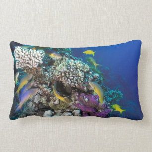 Goatfish Swarm Around Small Coral Lumbar Pillow