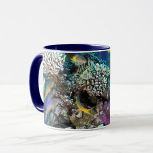 Goatfish Swarm Around Small Coral Mug