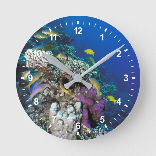 Goatfish Swarm Around Small Coral Round Clock (Front)