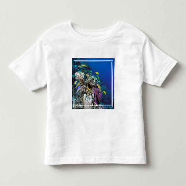 Goatfish Swarm Around Small Coral Toddler T-shirt (Front)