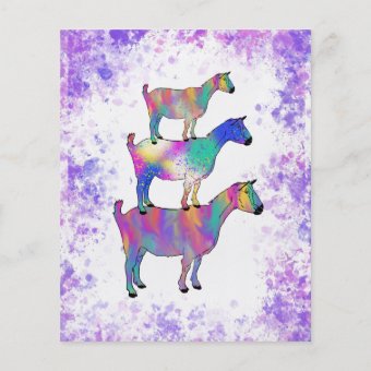 Goats 5th Birthday Photo Purple Budget invitation Flyer | Zazzle