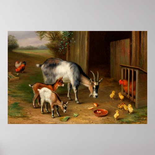 Goats And Chickens At The Farm 1 Poster