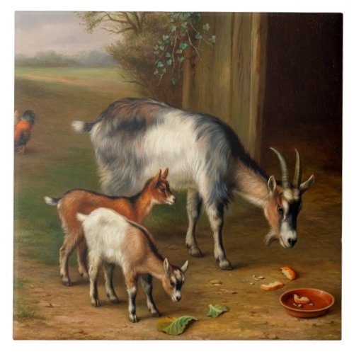 Goats And Chickens At The Farm Ceramic Tile