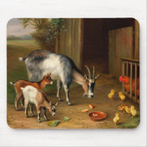 Goats And Chickens At The Farm Mouse Pad