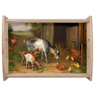 Goats And Chickens At The Farm  Serving Tray