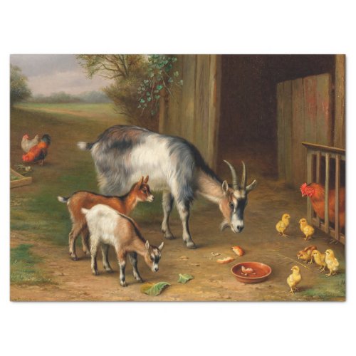 Goats And Chickens At The Farm Tissue Paper