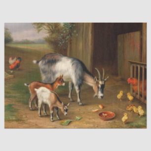 Goats And Chickens At The Farm Tissue Paper