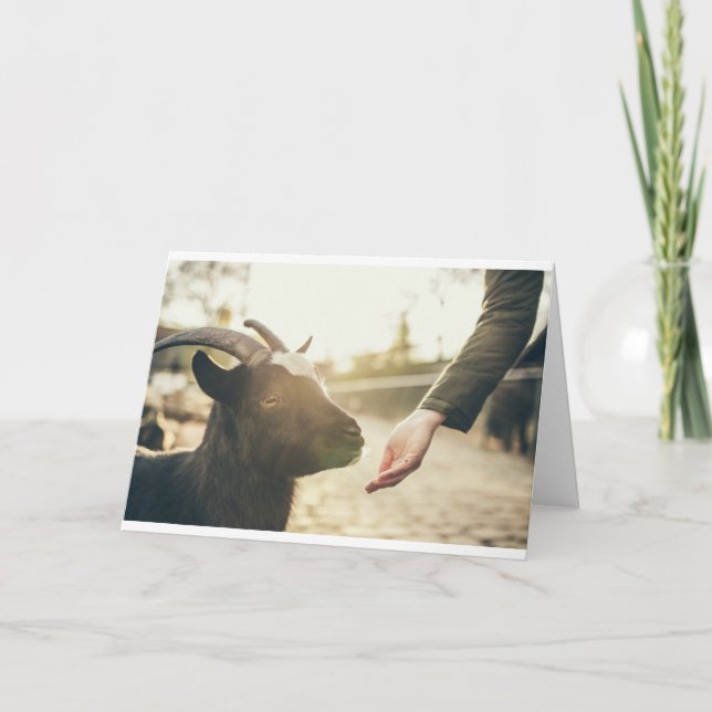 Goats and Goats and Goats (21) Card (Front)