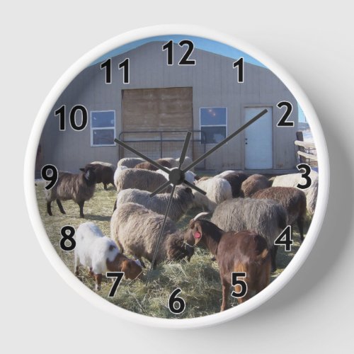 Goats and Sheep Lunching Clock