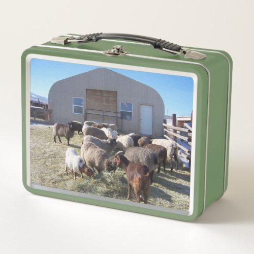 Goats and Sheep Lunching Metal Lunch Box