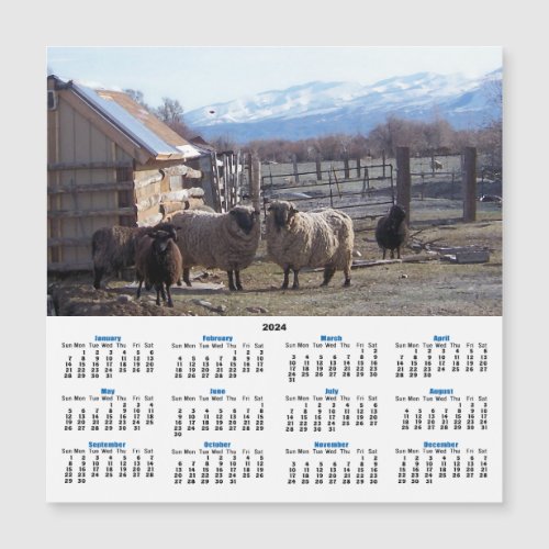 Goats and Sheep Lunching v2 2024 Calendar Card