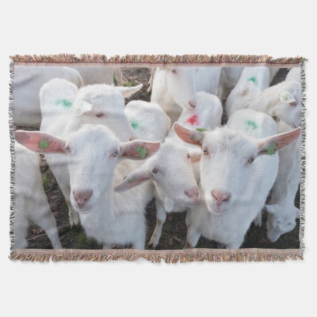 Goats Animals Throw Blanket Zazzle