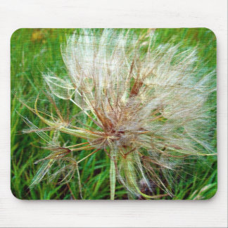 Goat's Beard Mouse Pad