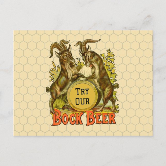 Goats Bock Beer Advertising Postcard (Front)