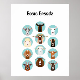 Goats Breeds head Poster