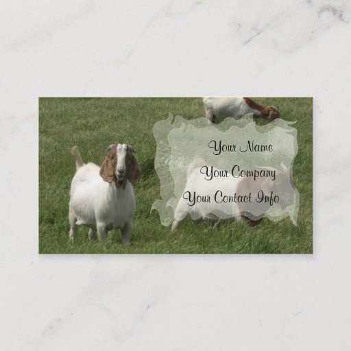 Customizable Goats Business Card Template