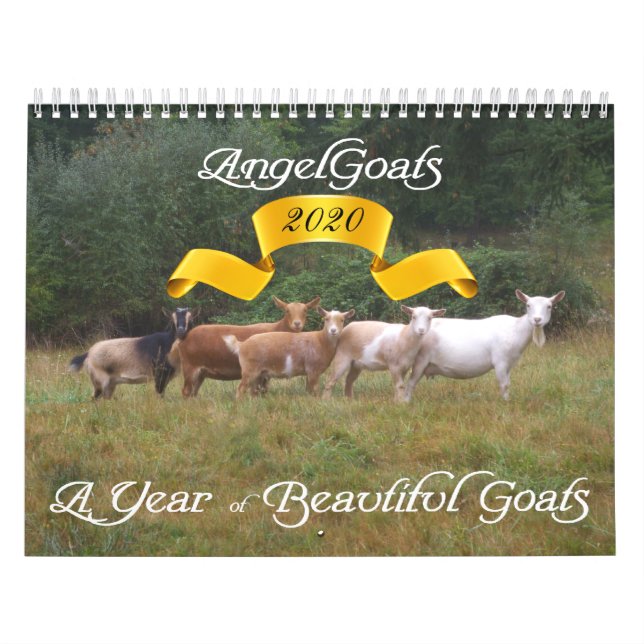 Goats Calendar Beautiful Goats AngelGoats (Cover)