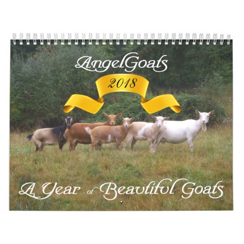 Goats Calendar Beautiful Goats AngelGoats
