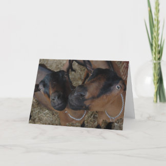 goats card