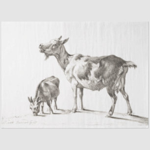 Goats Ephemera Decoupage Vintage Farm Tissue Paper