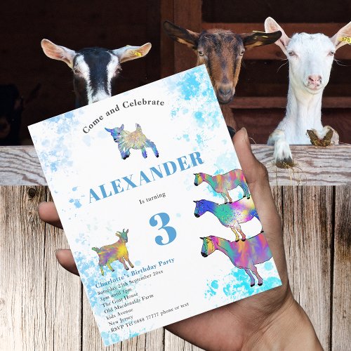 Goats Farm Animals 3rd Birthday Party Blue Budget