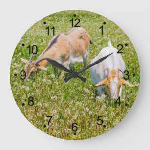 Goats Farm Animals Large Clock