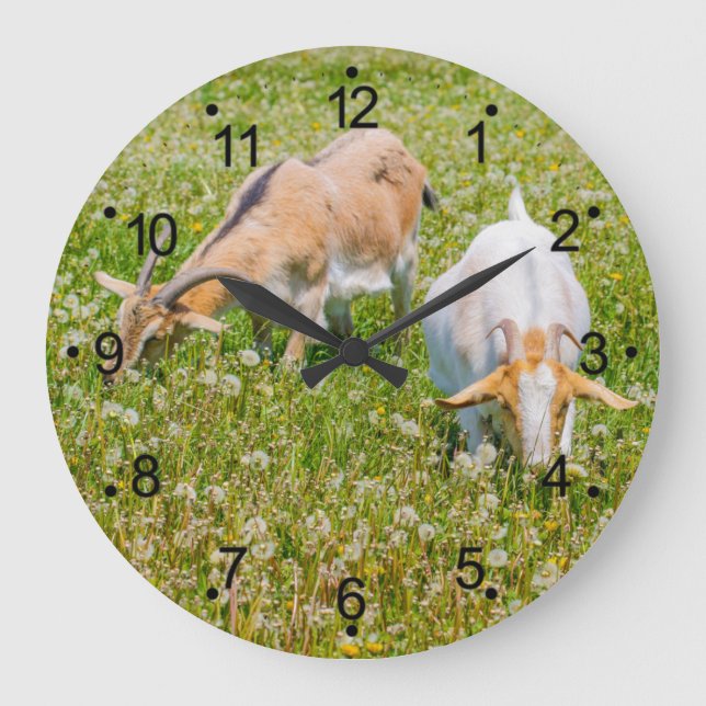 Goats Farm Animals Large Clock (Front)