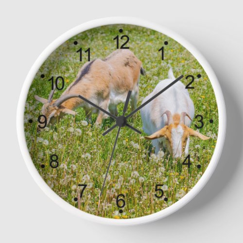 Goats Farm Animals Round White Clock