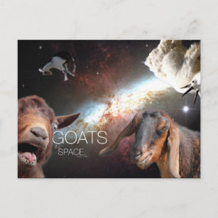 Goats.In.Space Postcard