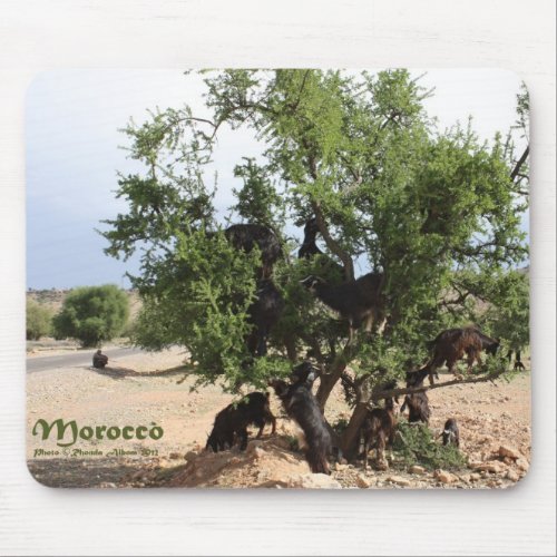 Goats in Trees _ Argan Trees Morocco Mouse Pad