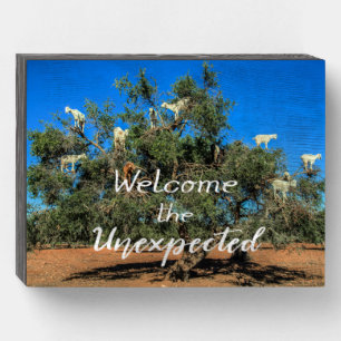 Goats in Trees Welcome the Unexpected Funny Wooden Box Sign