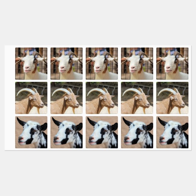Goats Labels (Sheet)