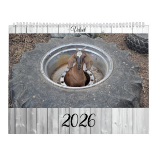Goats of 2026 calendar