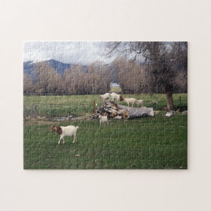 Goats on a Log Jigsaw Puzzle