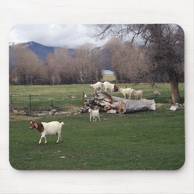 Goats On a Log Mouse Pad (Front)
