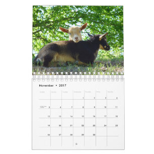 Goats on Grass K-N-S Farm Calendar