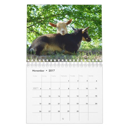 Goats on Grass K_N_S Farm Calendar