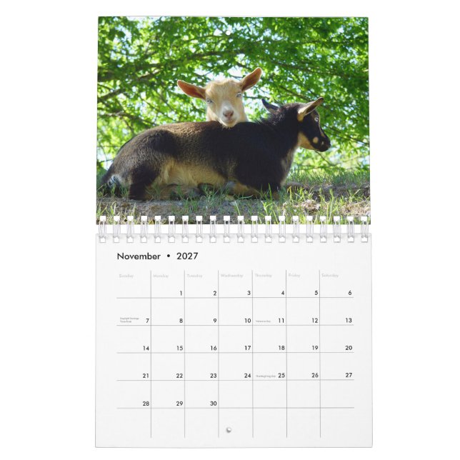 Goats on Grass K-N-S Farm Calendar (Nov 2027)