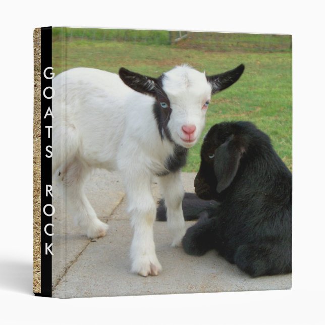 Goats Rock Binder (Front/Spine)