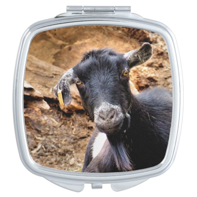 GOATS VANITY MIRROR (Front)