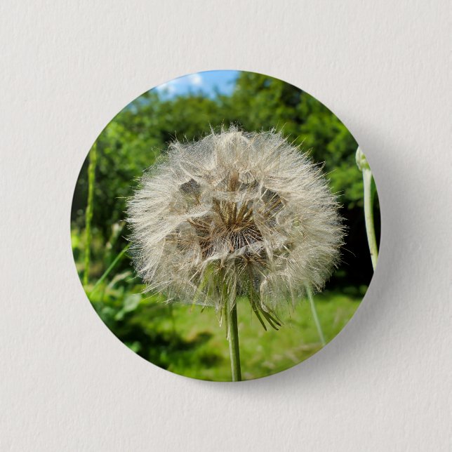 Goatsbeard Wildflower Badge Button (Front)