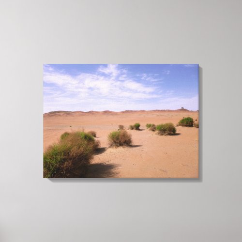Gobi Desert View Canvas Print
