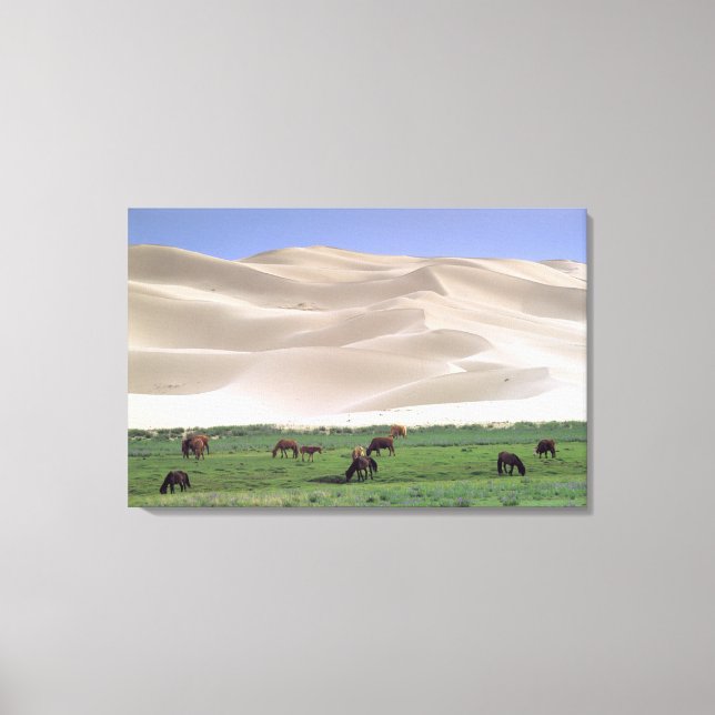 Gobi Desert | Wild Horses Canvas Print (Front)