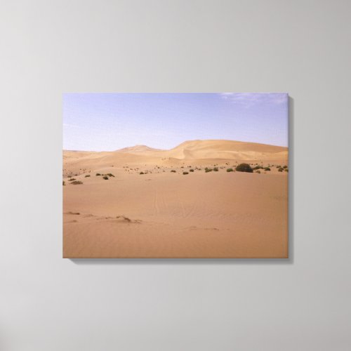 Gobi Sand Dune Canvas Print