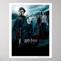 Goblet of Fire - French 4 Poster