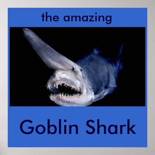 Goblin Shark Poster