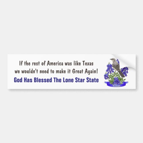 God Bless Texas Mockingbird  Bluebonnet Bumper Sticker