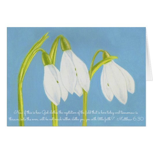 God Clothes Vegetation Field~Scripture~SnowDrops Cards (Front Horizontal)