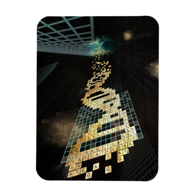 God doesn't play dice 2014 magnet (Vertical)