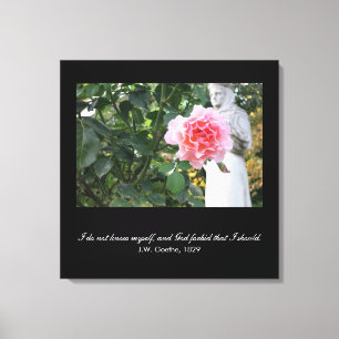 God forbid that I should know myself- Goethe quote Canvas Print